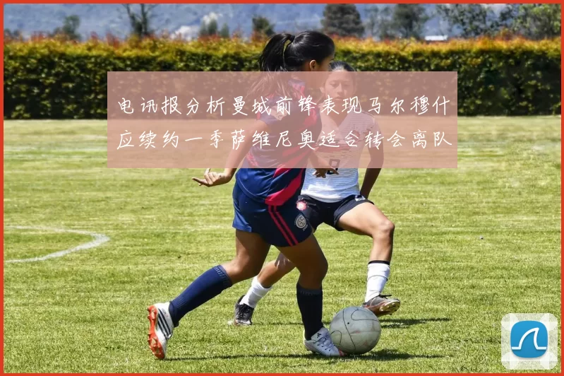 电讯报分析曼城前锋表现马尔穆什应续约一季萨维尼奥适合转会离队
